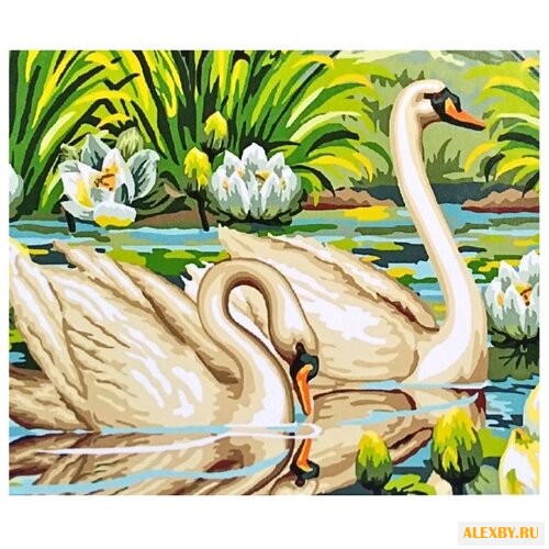 Цветной Картина по номерам