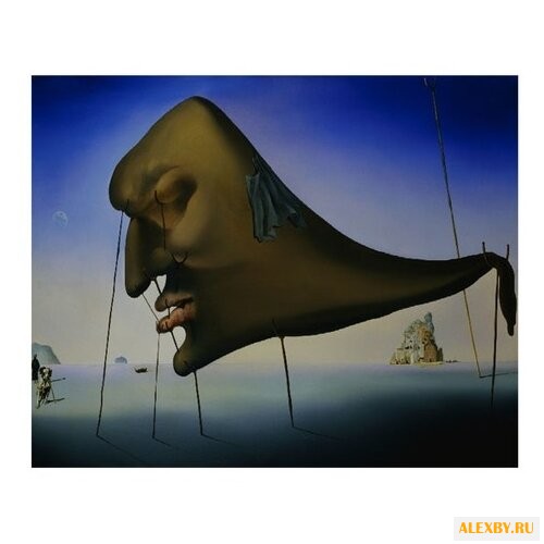 Molly Картина по номерам Сон