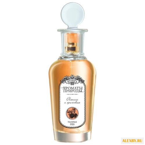 Brocard Ароматы природы: