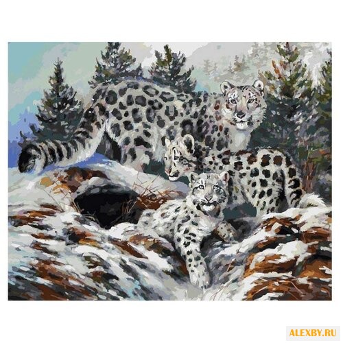 Белоснежка Картина по номерам