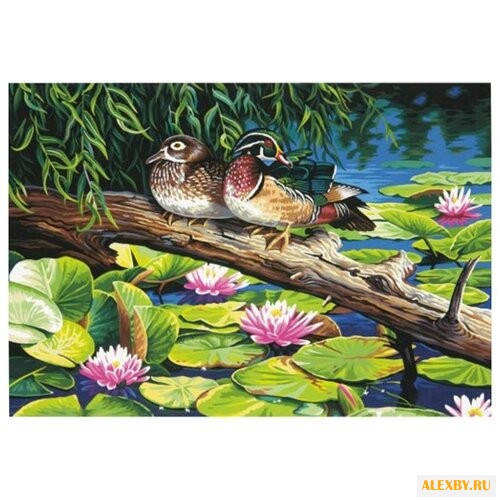 Dimensions Картина по номерам