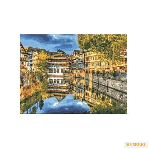 Рыжий кот Картина по номерам