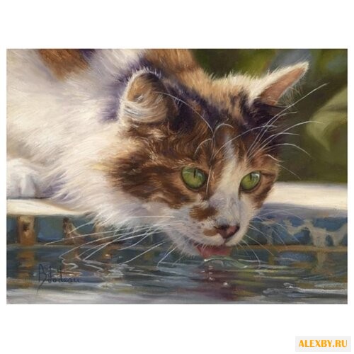 Рыжий кот Картина по номерам