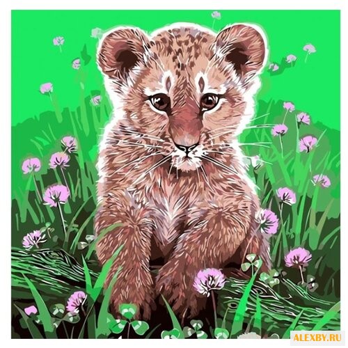 Color Kit Открытка по номерам