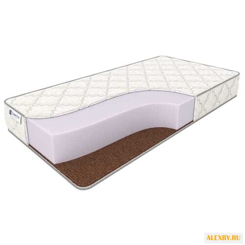 Матрас Dreamline Dreamroll Max