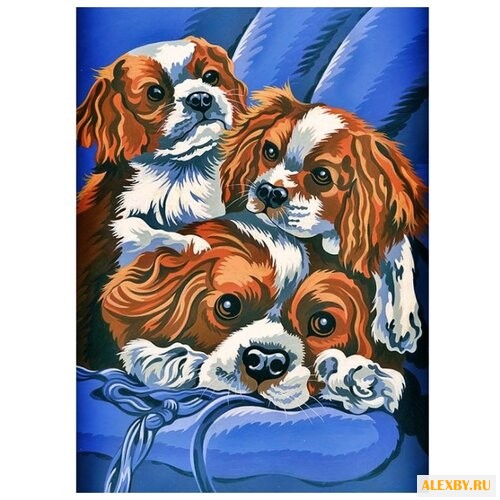 Hobbart Картина по номерам