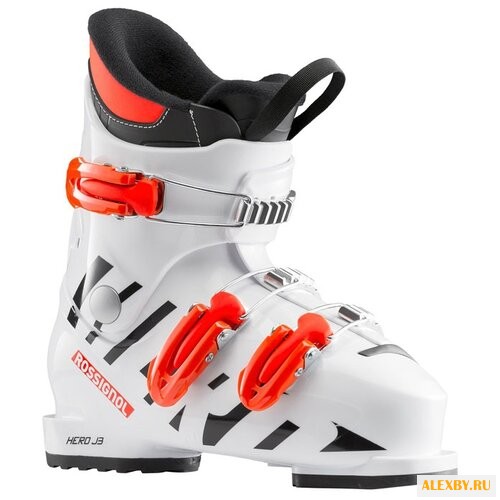 Ботинки для горных лыж