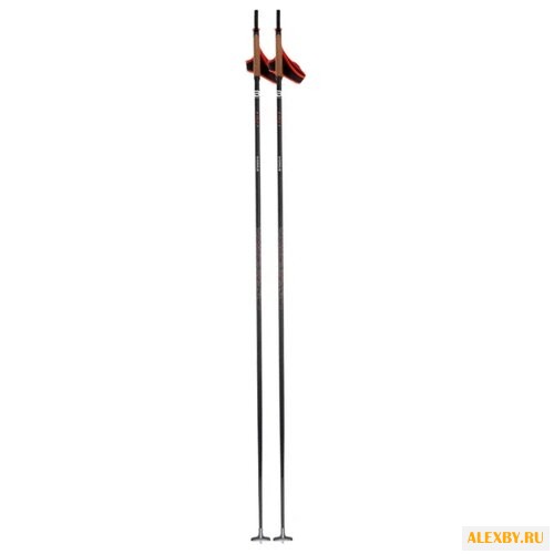 Лыжные палки Bjorn Daehlie Pace