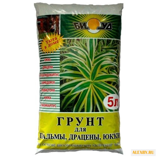 Грунт БИУД для пальмы драцены