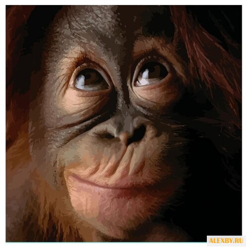 Color Kit Картина по номерам