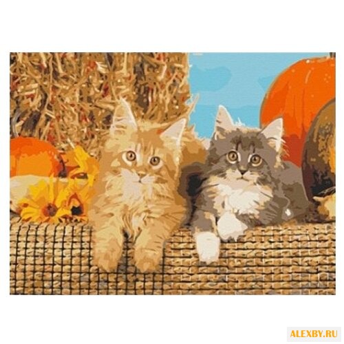 Рыжий кот Картина по номерам