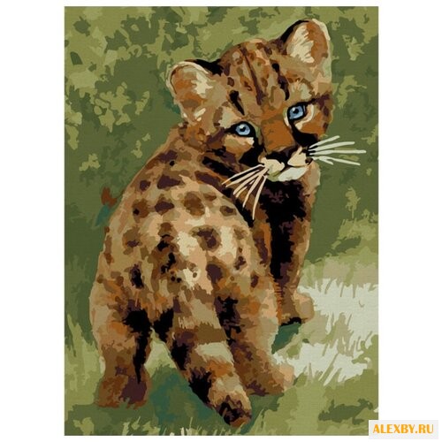 Color Kit Картина по номерам