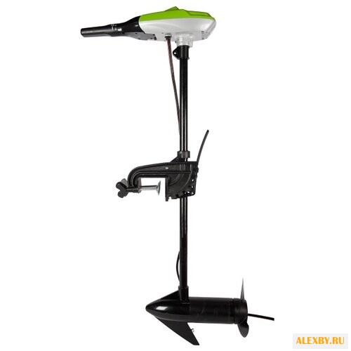 Лодочный мотор greenworks G12TM55