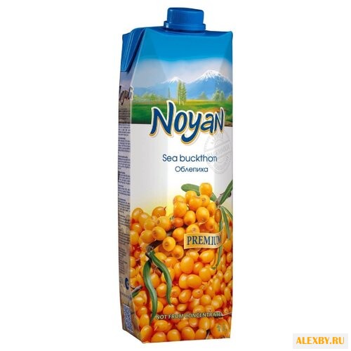 Нектар Noyan Облепиха с крышкой