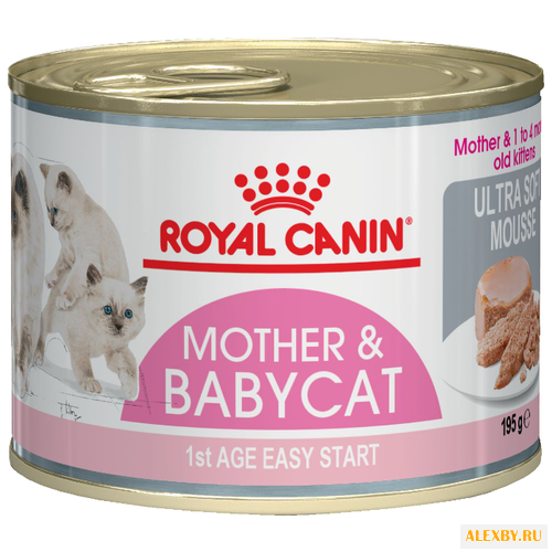 Корм для кошек Royal Canin