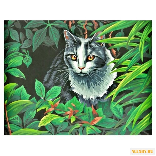 Dimensions Картина по номерам