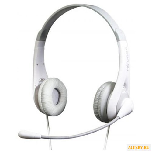 Компьютерная гарнитура Fischer