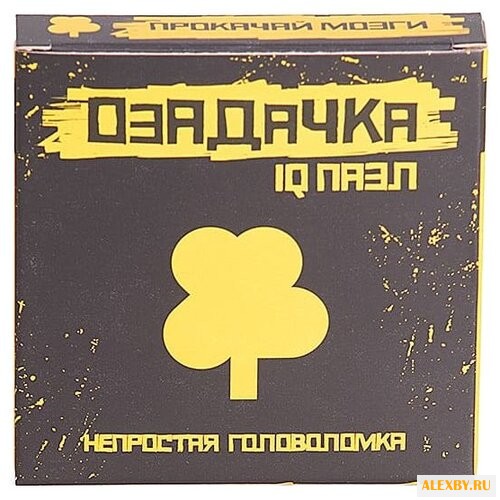 Головоломка Озадачка IQ ПАЗЛ