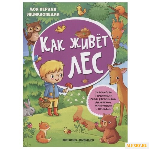Книжка с наклейками Как живет лес