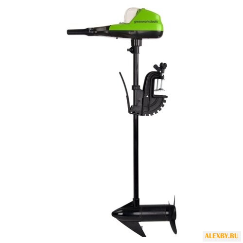 Лодочный мотор greenworks G40TM55