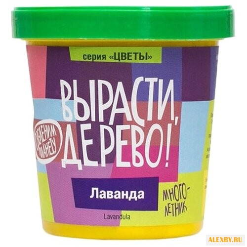 Набор для выращивания Вырасти