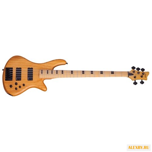 Бас-гитара Schecter Stiletto-5