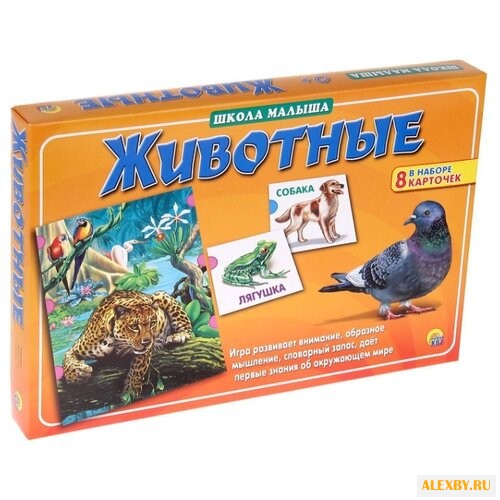 Настольная игра Рыжий кот Школа