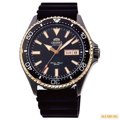 Наручные часы ORIENT AA0005B1