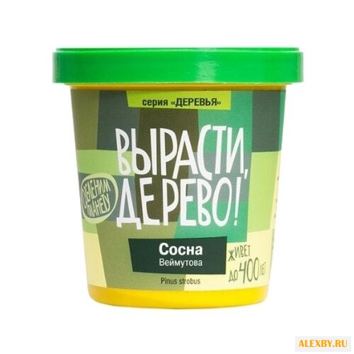 Набор для выращивания Вырасти