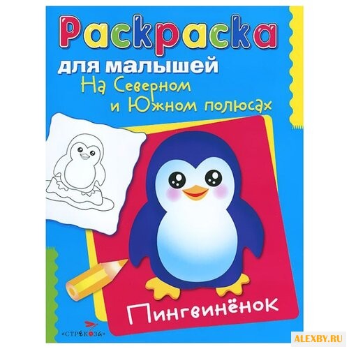 Стрекоза Раскраска для малышей.