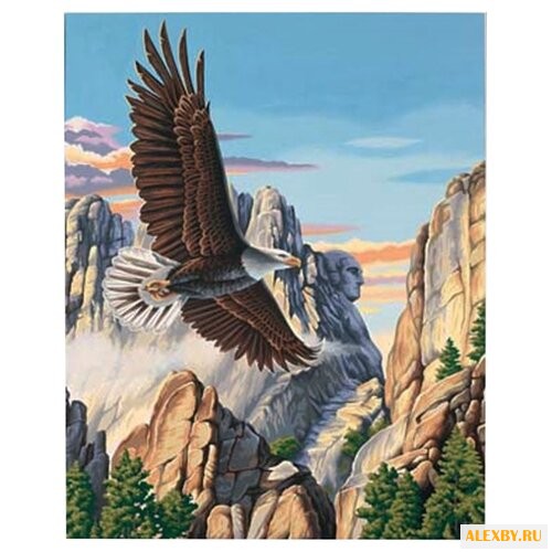 Dimensions Картина по номерам