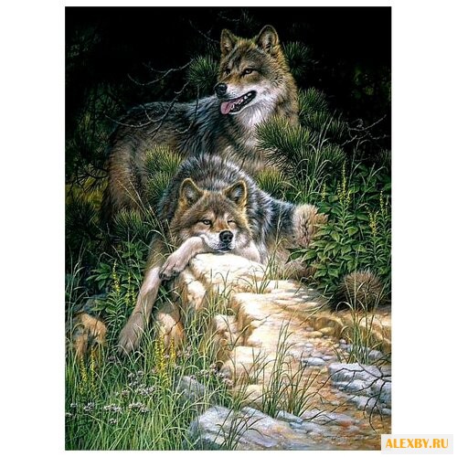 Dimensions Картина по номерам