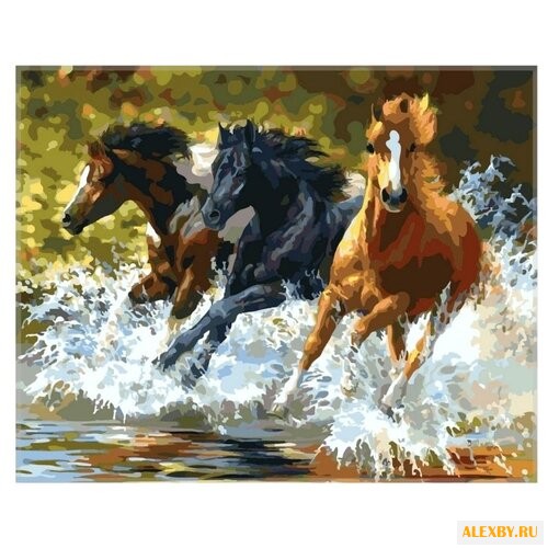 Color Kit Картина по номерам