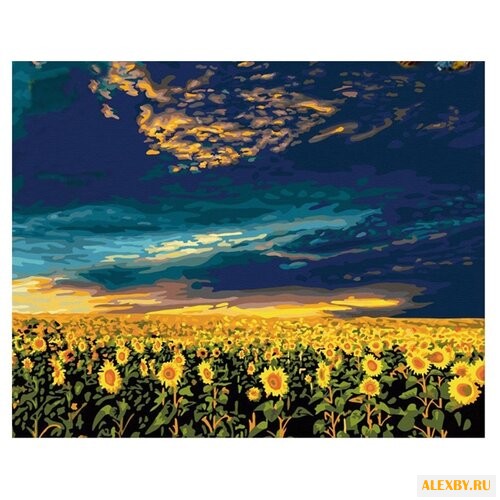 Hobbart Картина по номерам Поле