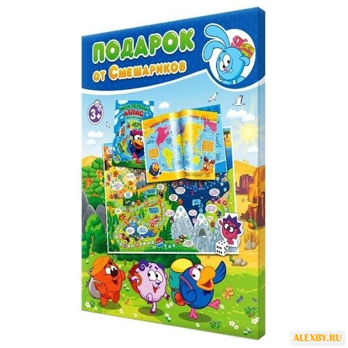 Обучающий набор ГеоДом Подарок