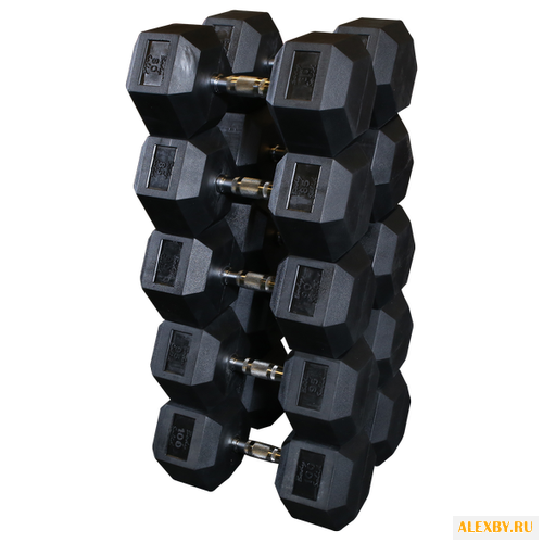 Набор гантелей неразборных Body