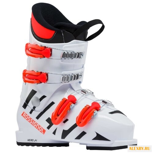 Ботинки для горных лыж
