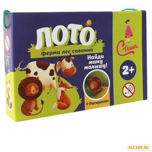 Настольная игра Стеша Найди