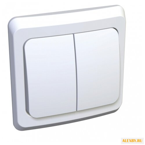 Выключатель 2х1-полюсный