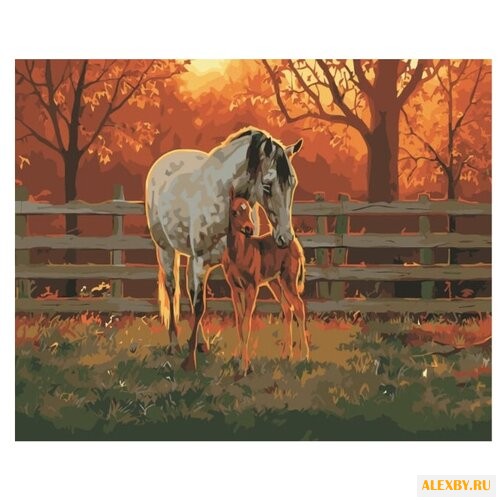 Menglei Картина по номерам