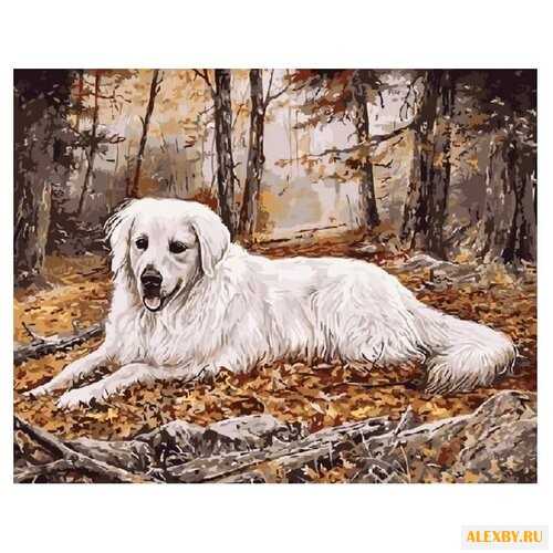 Paintboy Картина по номерам