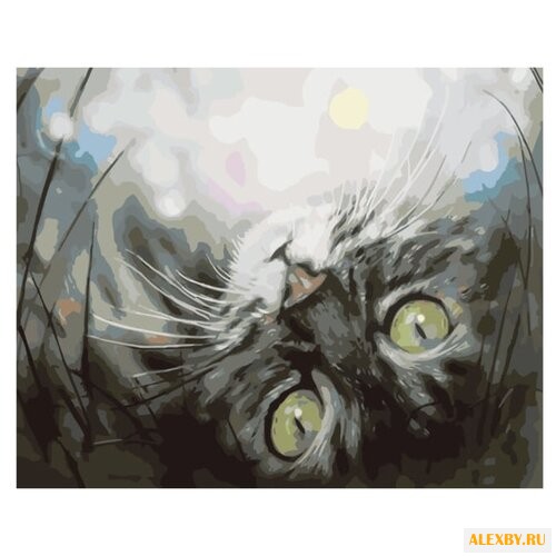 Menglei Картина по номерам