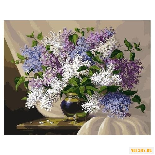 Paintboy Картина по номерам