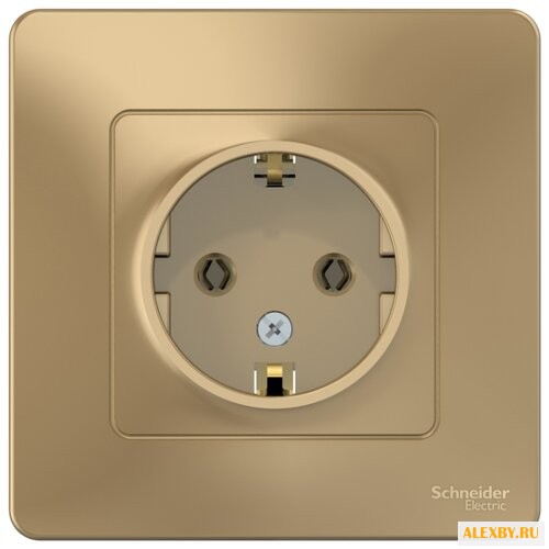Розетка Schneider Electric