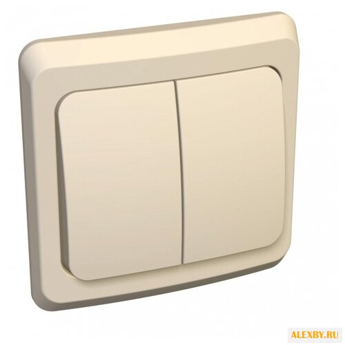 Выключатель 2х1-полюсный