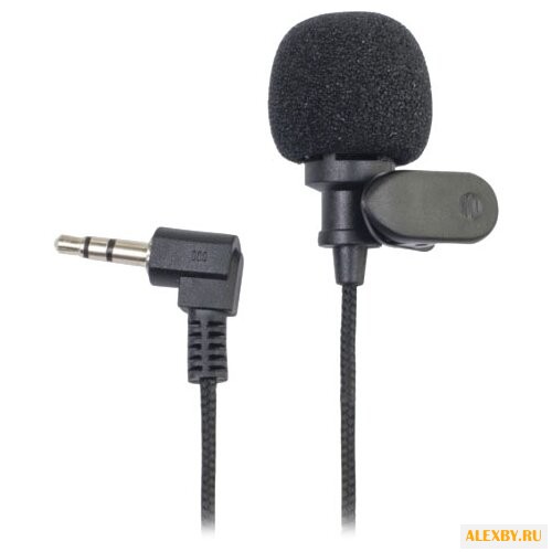 Микрофон Ritmix RCM-101