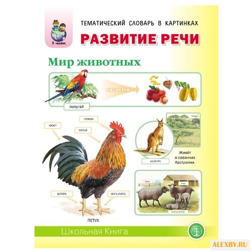 Тематический словарь в