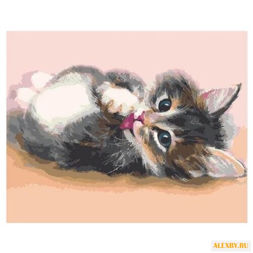 Menglei Картина по номерам