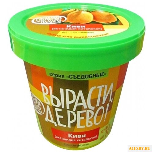 Набор для выращивания Вырасти