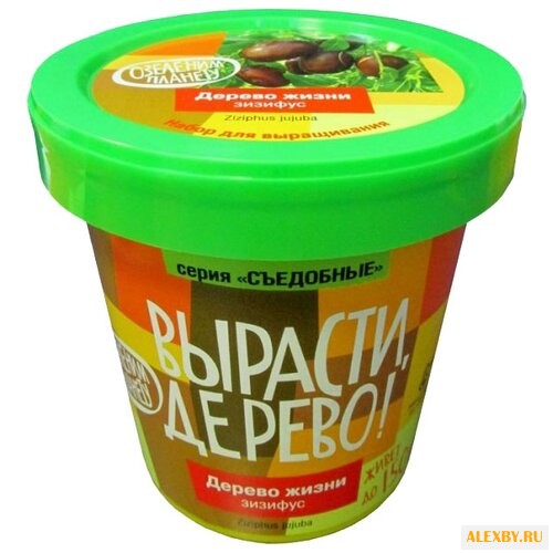 Набор для выращивания Вырасти